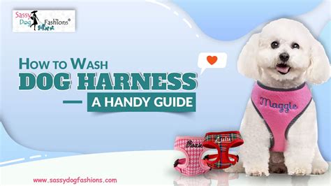 how to wash dog harness